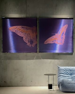 উচ্চ স্থায়িত্ব Woven Wire Mesh Mural জন্য 3d Mesh ফ্যাব্রিক
